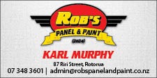 Rob's Panel & Paint